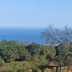  Appartement Bruguera 3